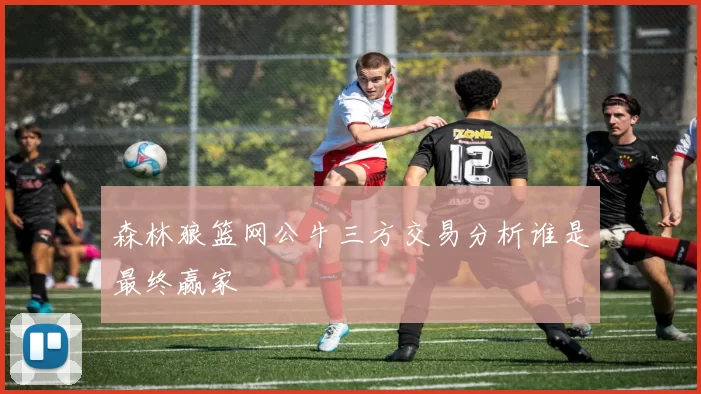 森林狼篮网公牛三方交易分析谁是最终赢家